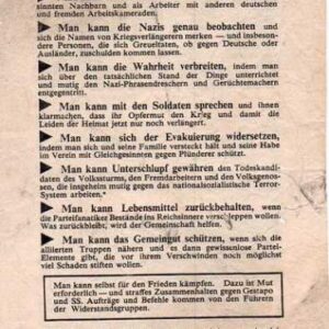 Allied Leaflet - Was kann man tun?