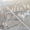 Nice Large Photograph of a Wooden Bridge Build by Royal Engineers. - Image 3