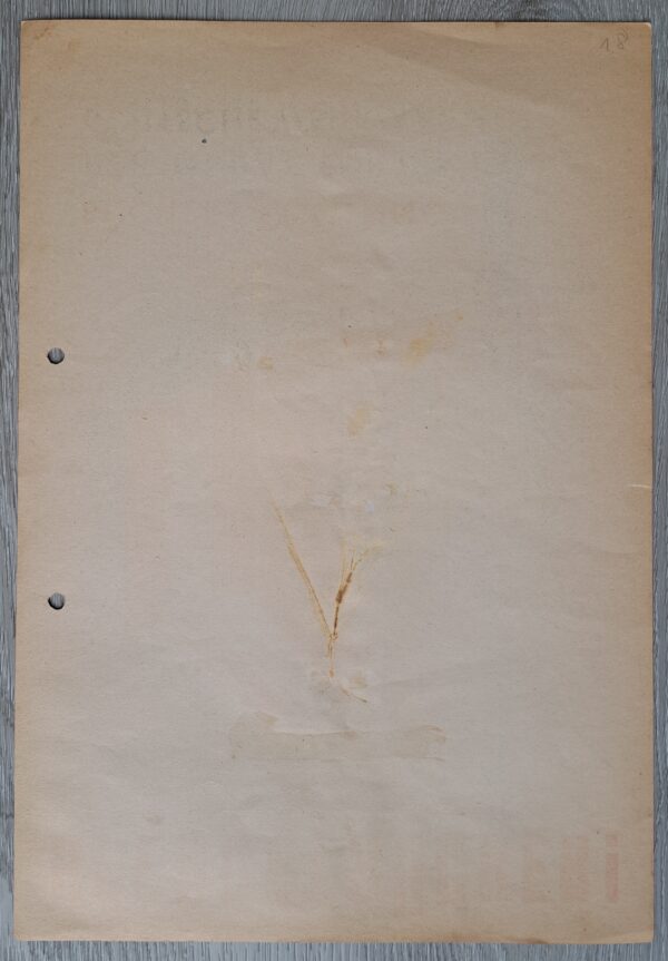 German Poster "SPENDET BÜCHER!" 30,4 x 21cm - Image 2